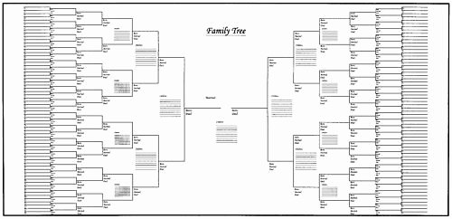 Family Tree Template Family Tree Template Charts