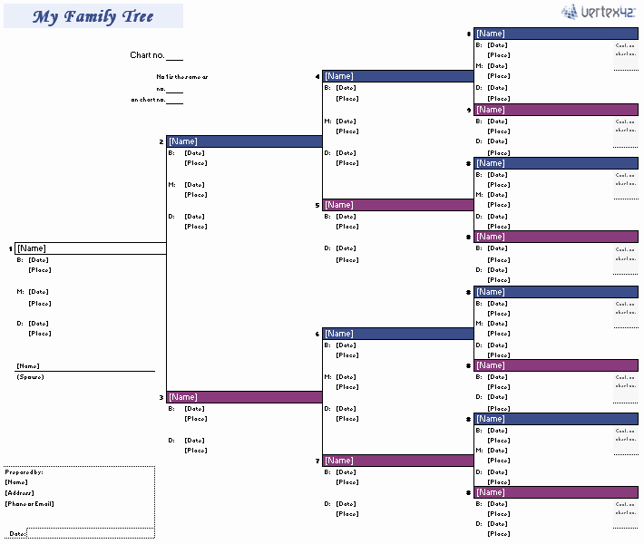 Family Tree Template Family Tree Template Xls