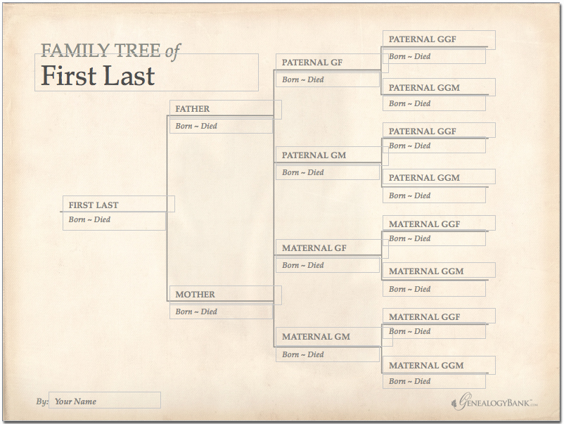 Family Tree Template Finder Free Charts for Genealogy