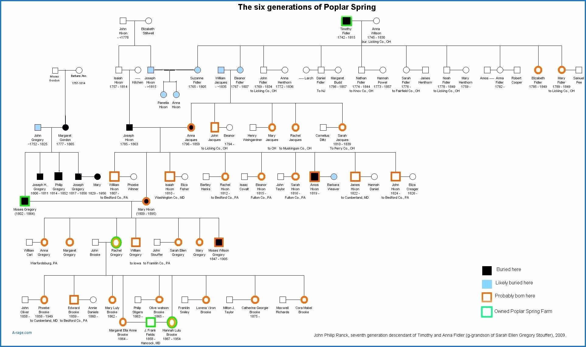 Family Tree Template Google Docs