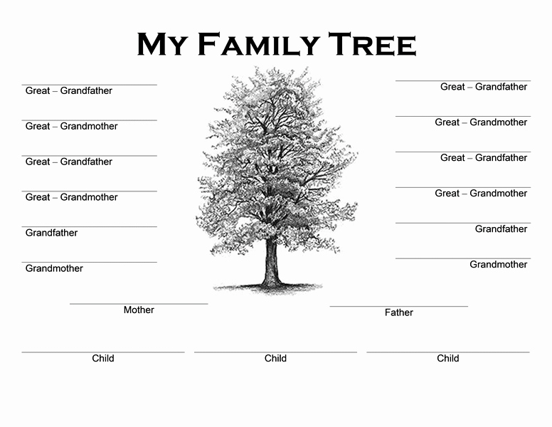 Family Tree Templates Word Word Excel Samples