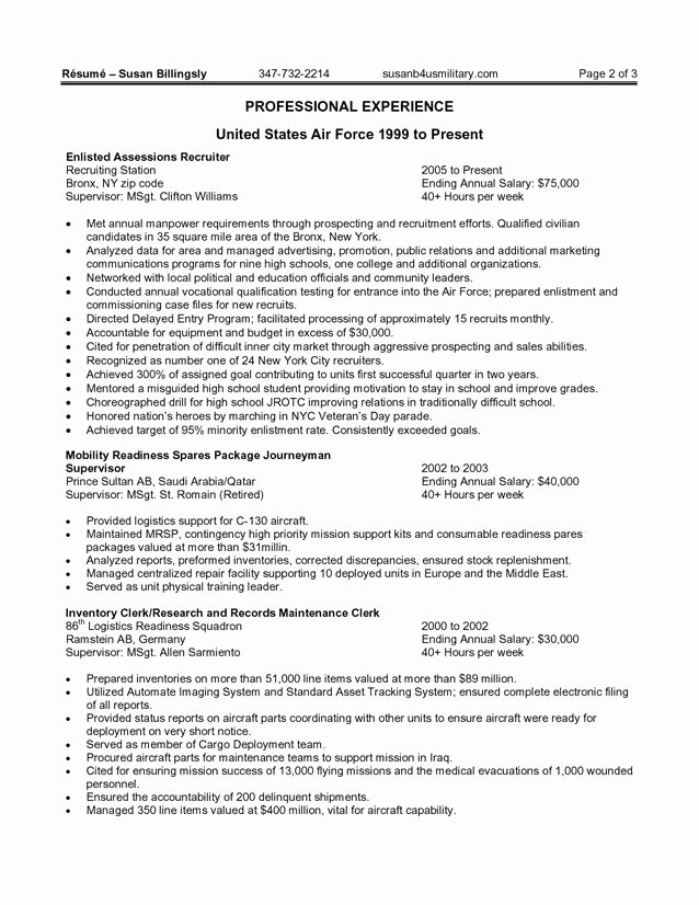 Federal Government Resume Example