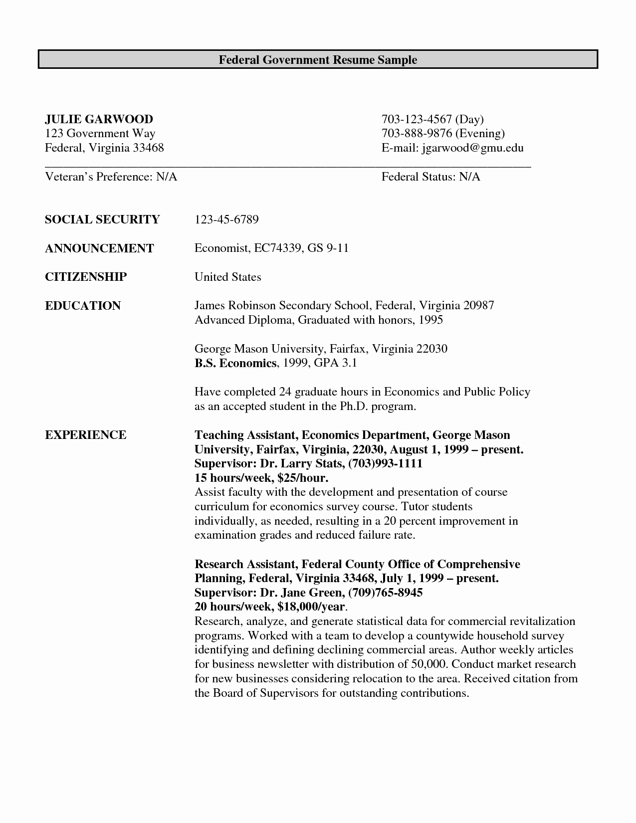 Federal Government Resume Example