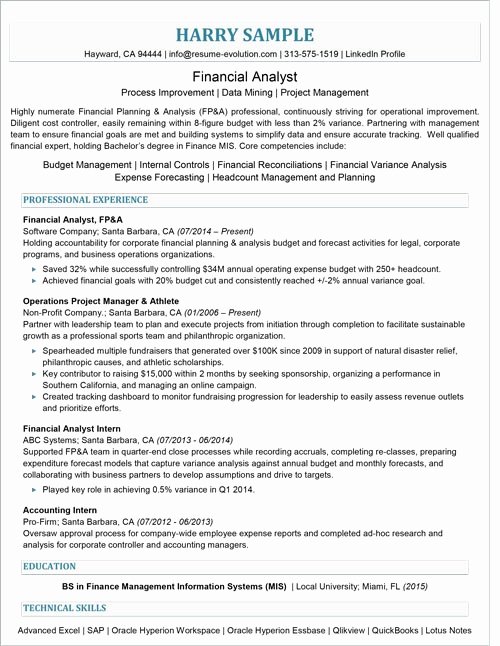 Finance Executive Resume Samples Sarahepps