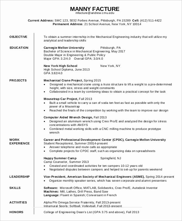 First Job Resume 7 Free Word Pdf Documents Download