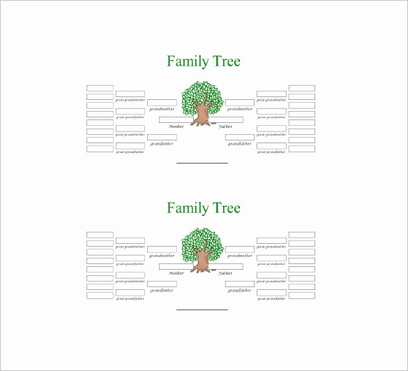 Five Generation Family Tree Template – 11 Free Word