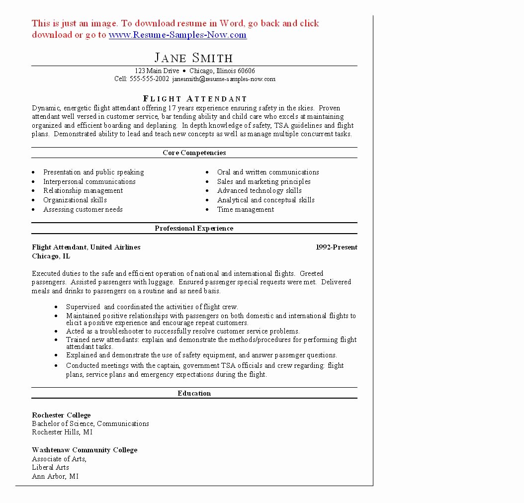 Flight attendant Sample Resume Objective with No