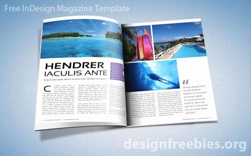 Free Adobe Indesign Magazine Template