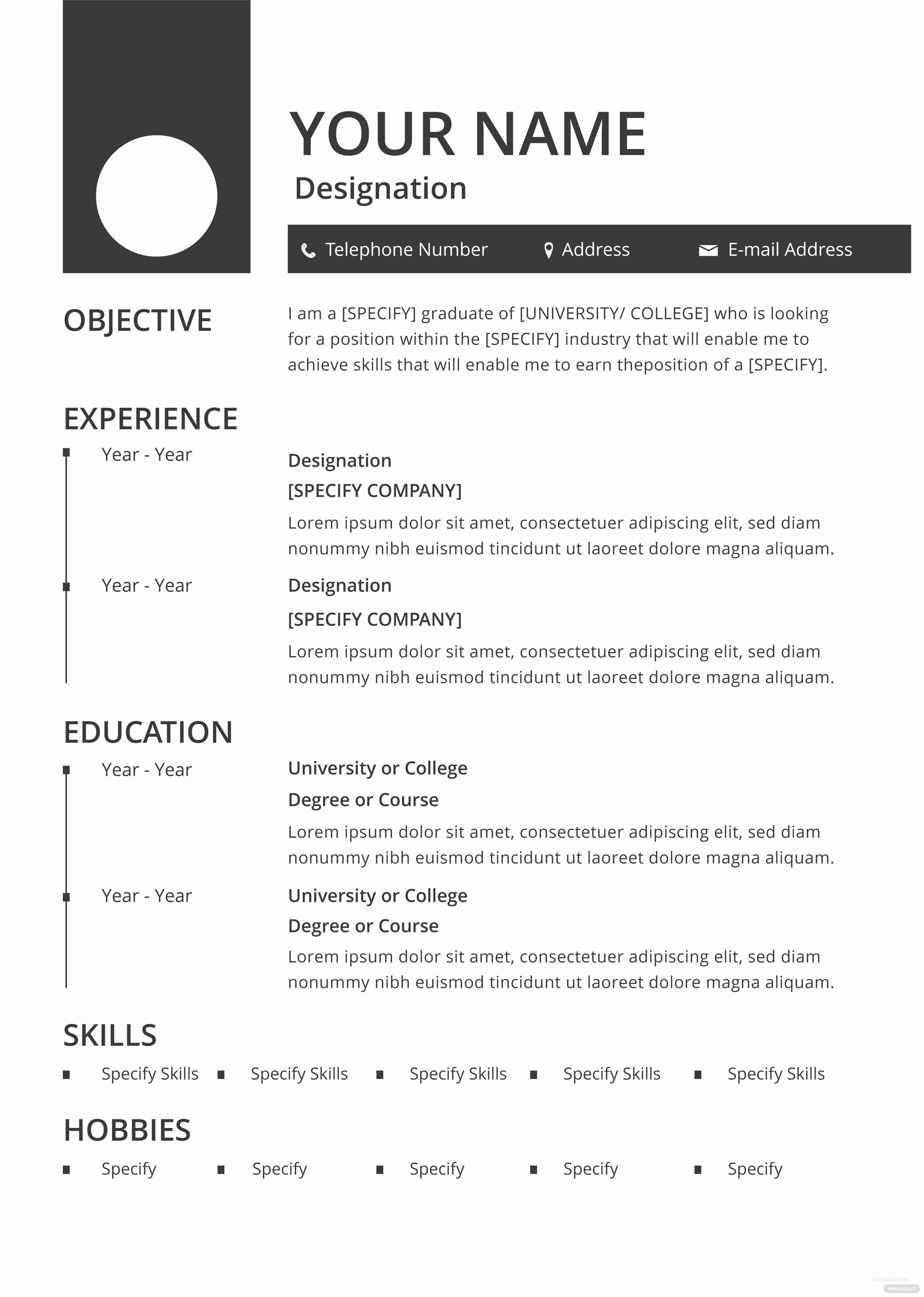 Free Blank Resume and Cv Template In Adobe Shop
