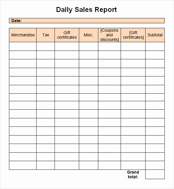 free daily sales report template doc format