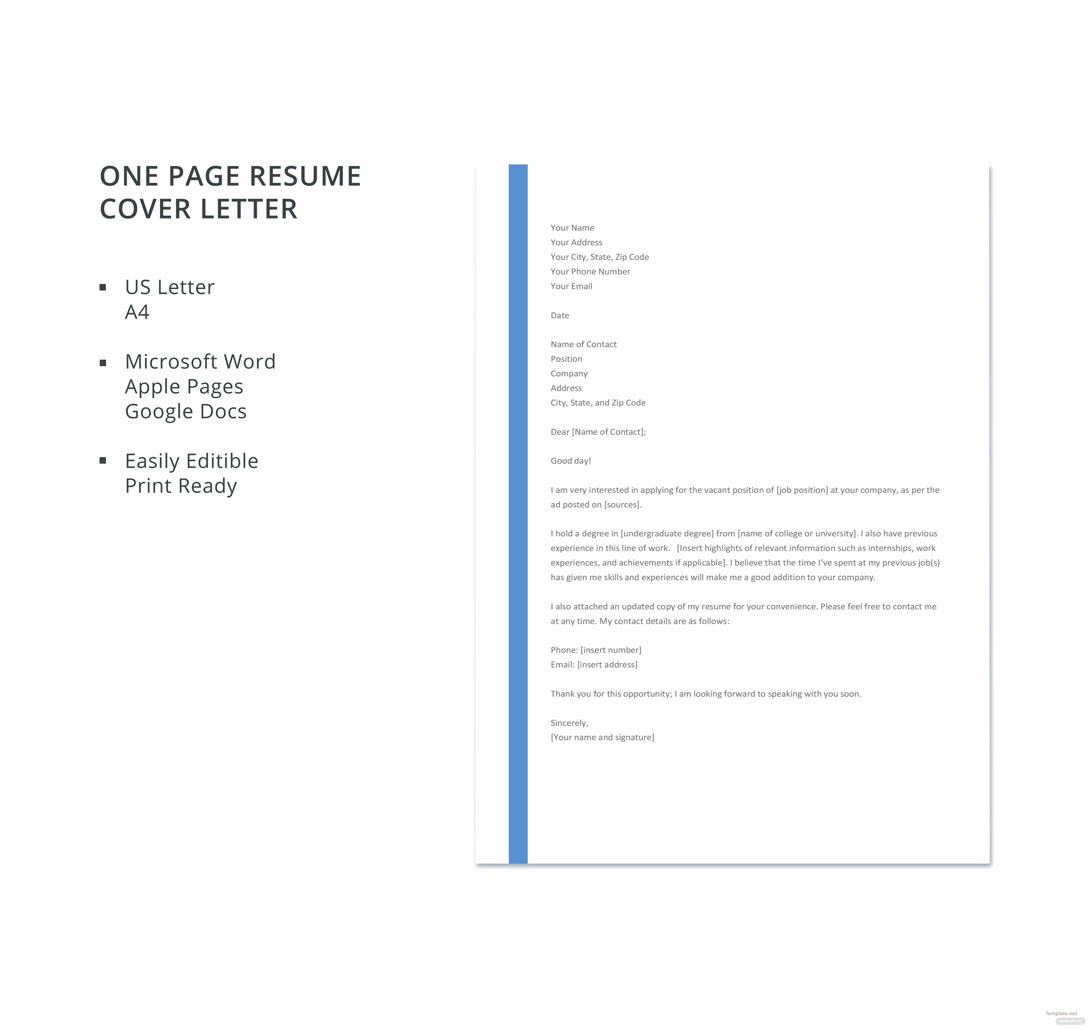 Free E Page Resume Cover Letter Template In Microsoft