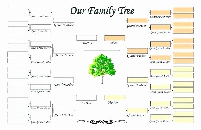Free Editable Family Tree Template Pedigree Google Docs
