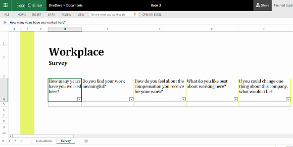 Free Excel Template for Conducting Workplace Surveys