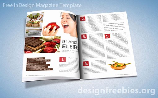 Free Exclusive Adobe Indesign Magazine Template V 2