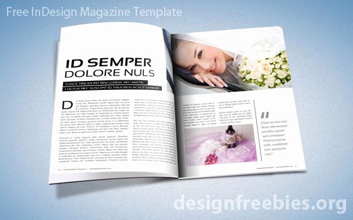 Free Exclusive Adobe Indesign Magazine Template V 2