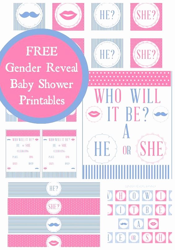 Free Gender Reveal Baby Shower Party Printables From