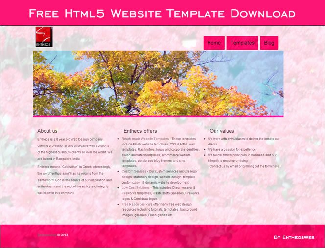 Free HTML5 and Css3 Website Templates