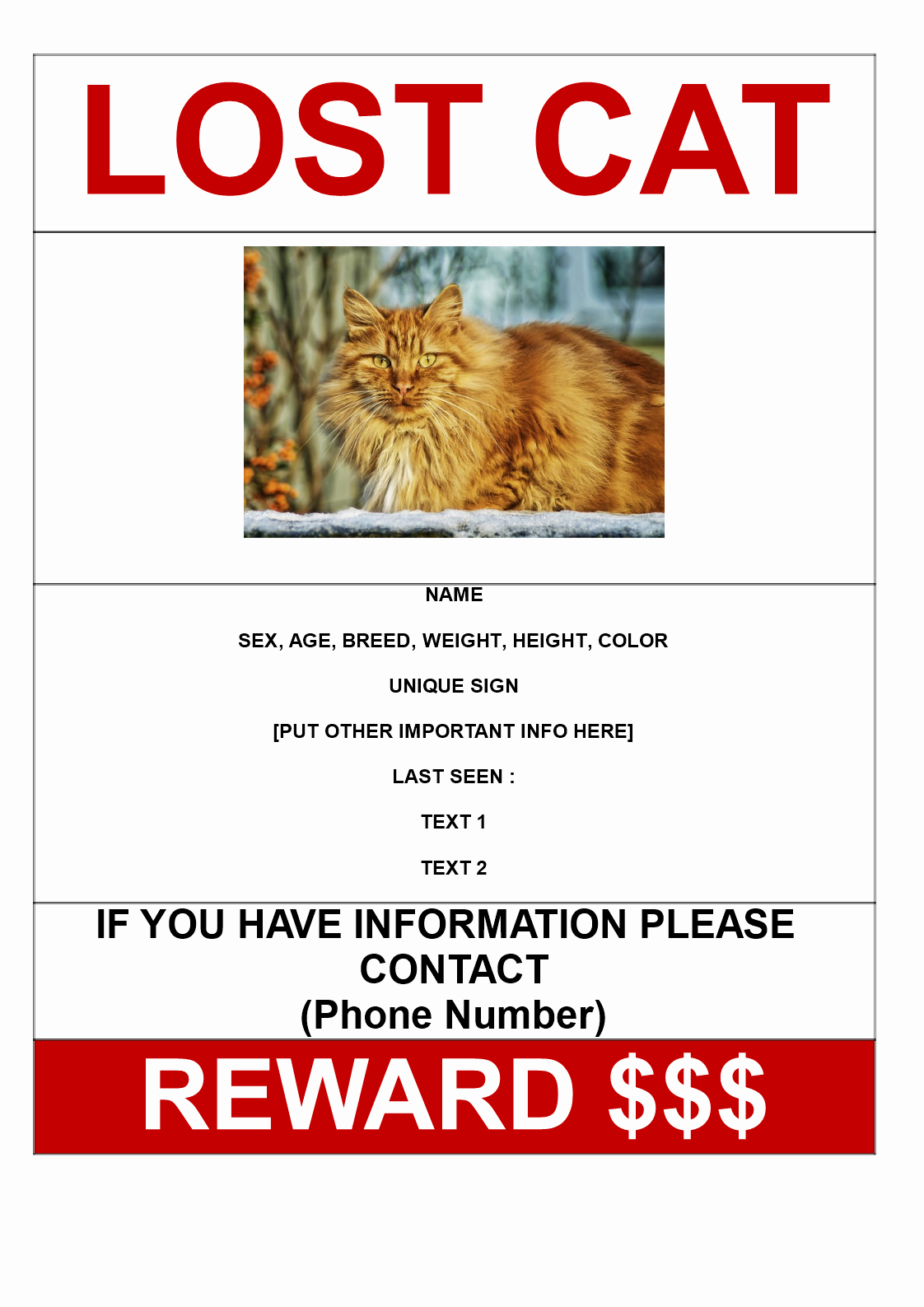 Free Lost Cat with Reward Model A3 Template
