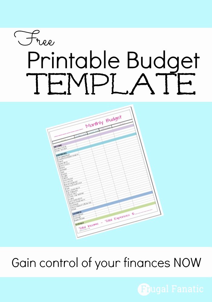 Free Monthly Bud Template Frugal Fanatic