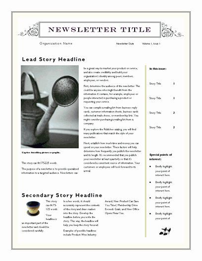 Free Newsletter Template for Word 2007 and Later