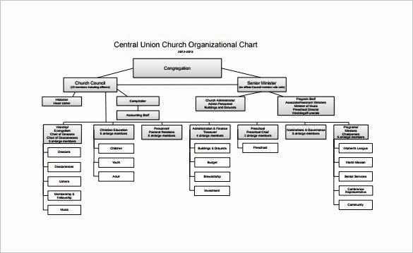 Free organizational Chart Template 5 Word Pdf Documents