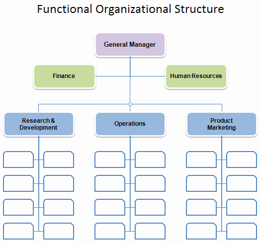 Free organizational Chart Template Pany organization
