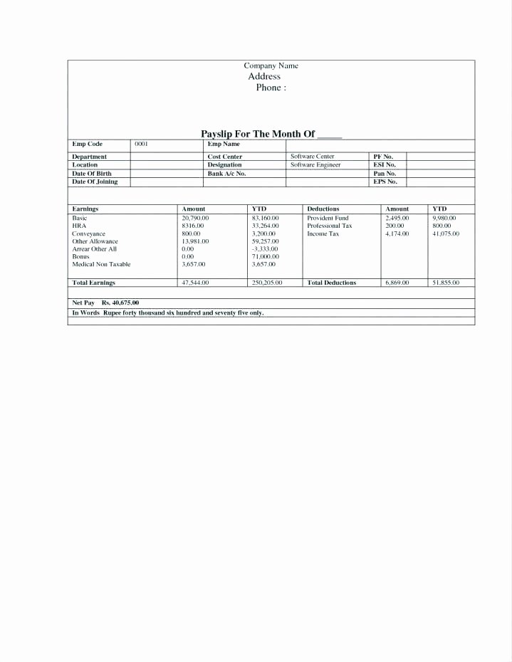 Truck Driver Payroll Template