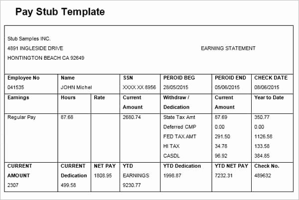 Free Paystub Template