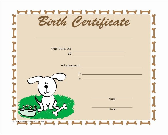 Free Pet Birth Certificate Template Invitation Template