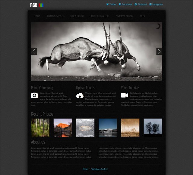 Free Photo Gallery Css Web Template