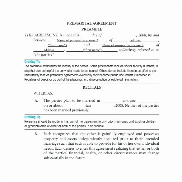 Free Prenup Agreement form Inspirational Prenuptial