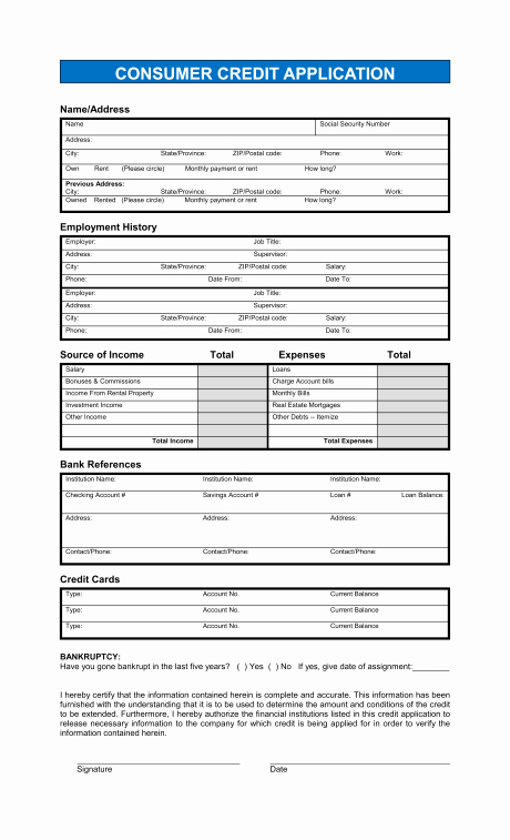 Free Printable Business Credit Application form form Generic