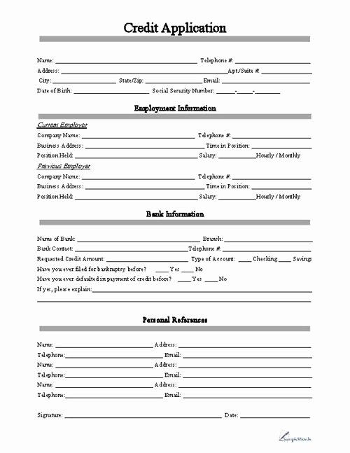 Free Printable Credit Application form form Generic