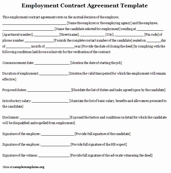 Free Printable Employment Contract Sample form Generic