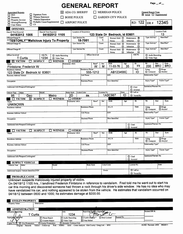 Free Printable Police Report Template form Generic