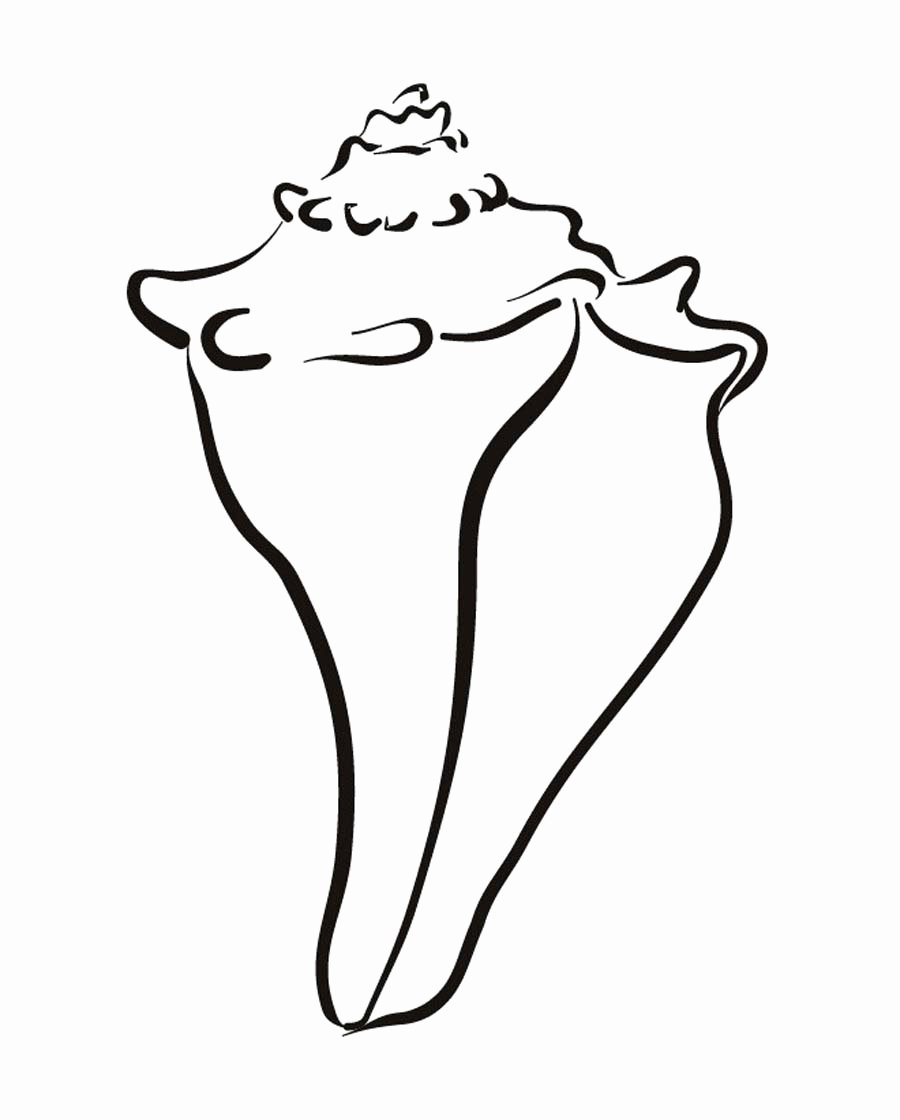 Free Printable Seashell Coloring Pages Coloring Pages