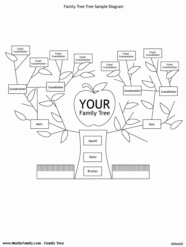 Free Printable Tree Template Coloring Home