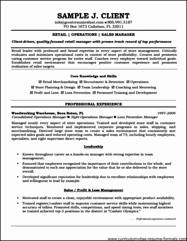 free professional resume templates 2016