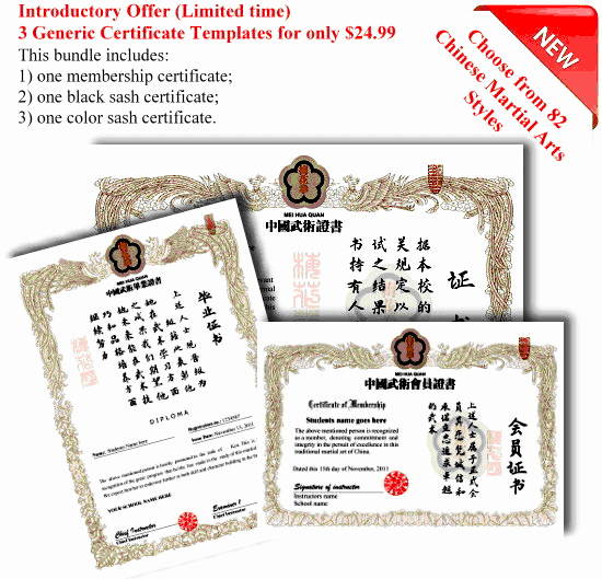Full Range Of Generic Martial Arts Certificate now Ly