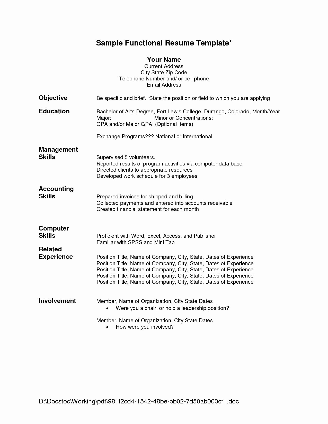 Functional Resume Template Free Download