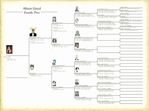 Genealogy Chart Excel – Buonappetitoub