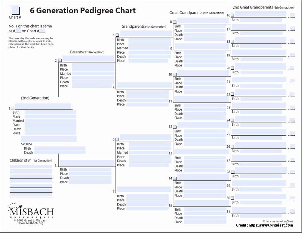Genealogy Family Tree Templates Excel form Resume