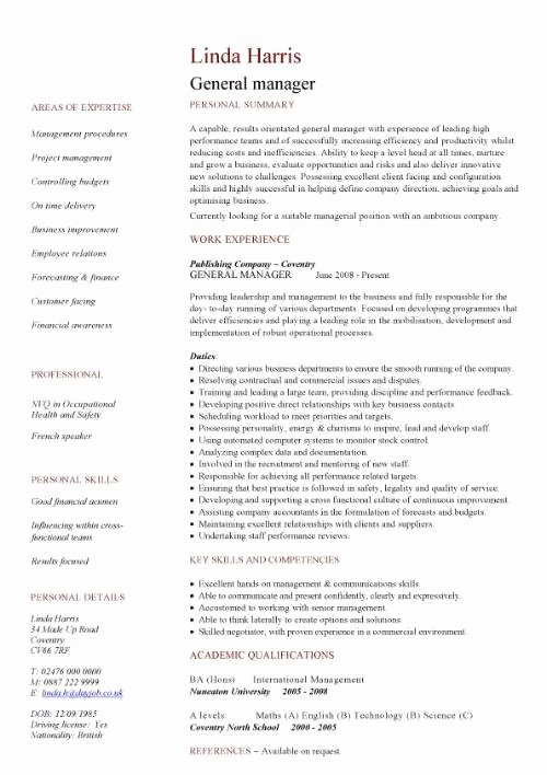 General Manager Resume Example Best Resume Gallery