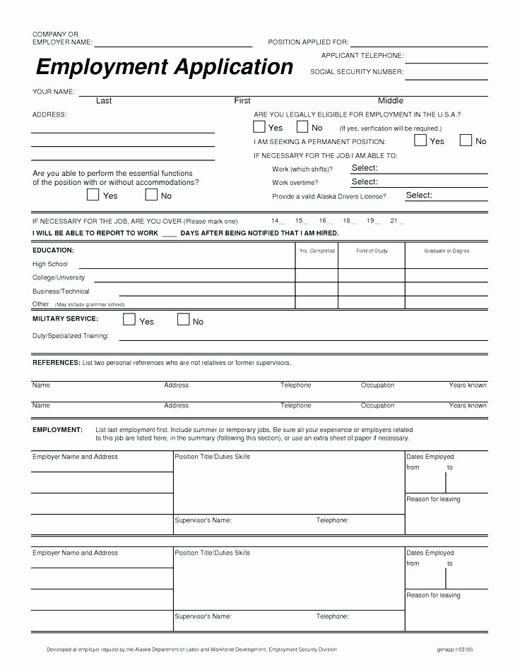 Generic Employment Application Template Word Spectacular