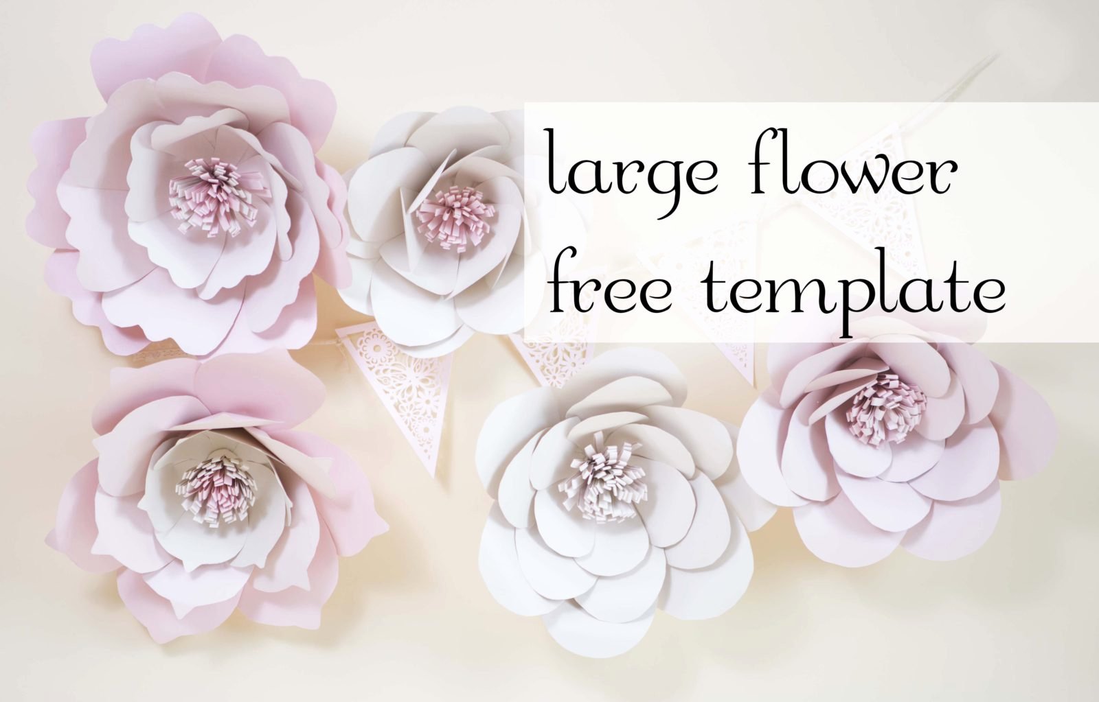 Giant Paper Flowers Free Template