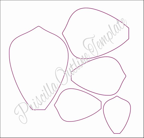 Giant Paper Flowers Giant Paper Flower Templates