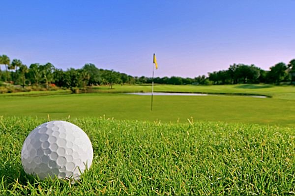 Golf Courses &amp; Academies