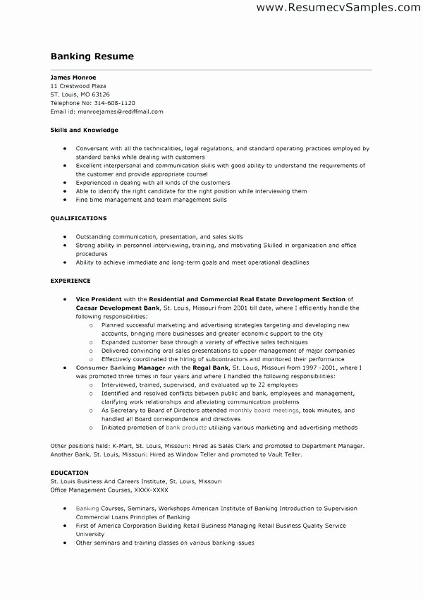Good Resume for Personal Banker