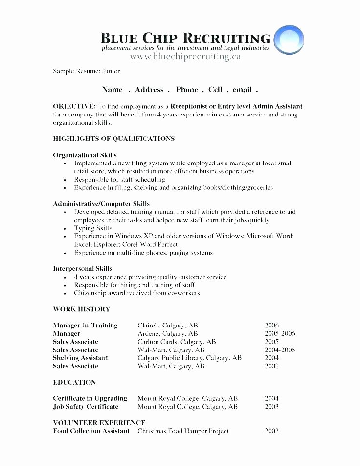 good resume format examples