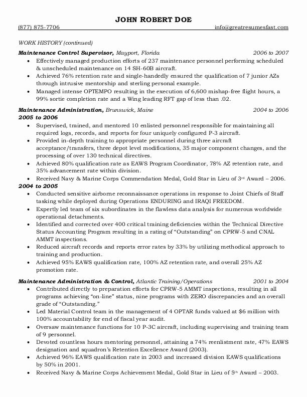 Government Resume Sample